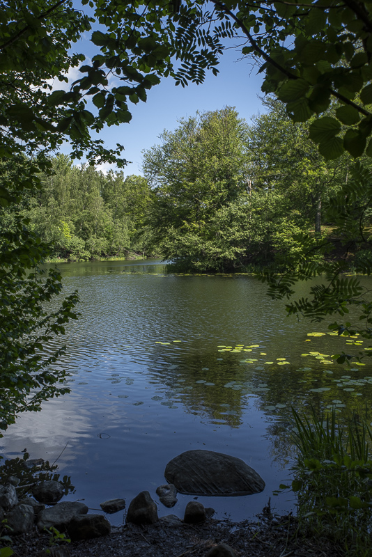 Mölledammen vid Boserup