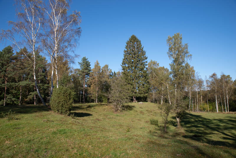 Räfshalen