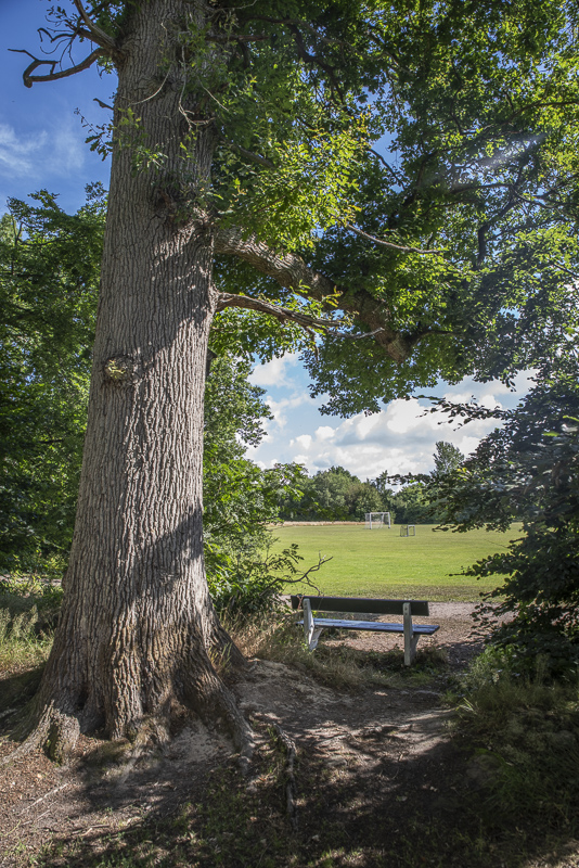 Pålsjö skog