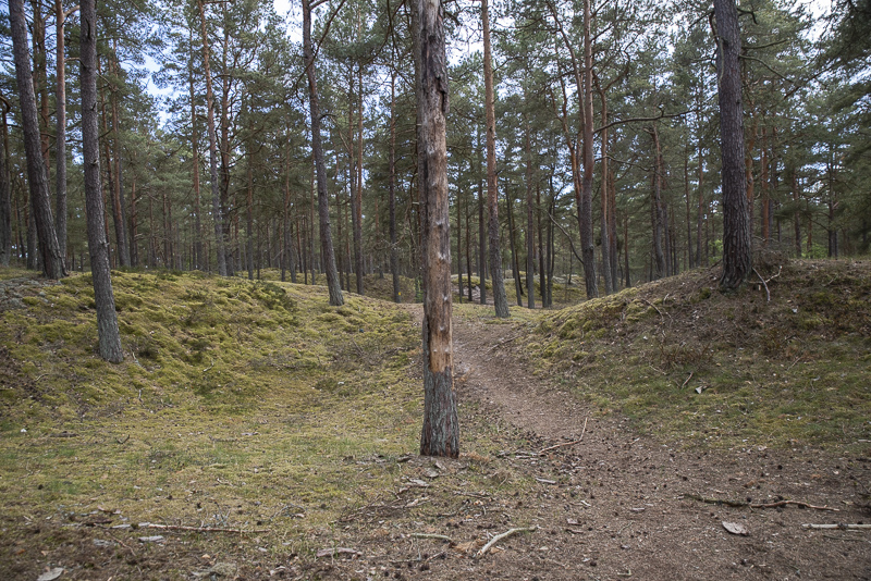 Södra Äspet