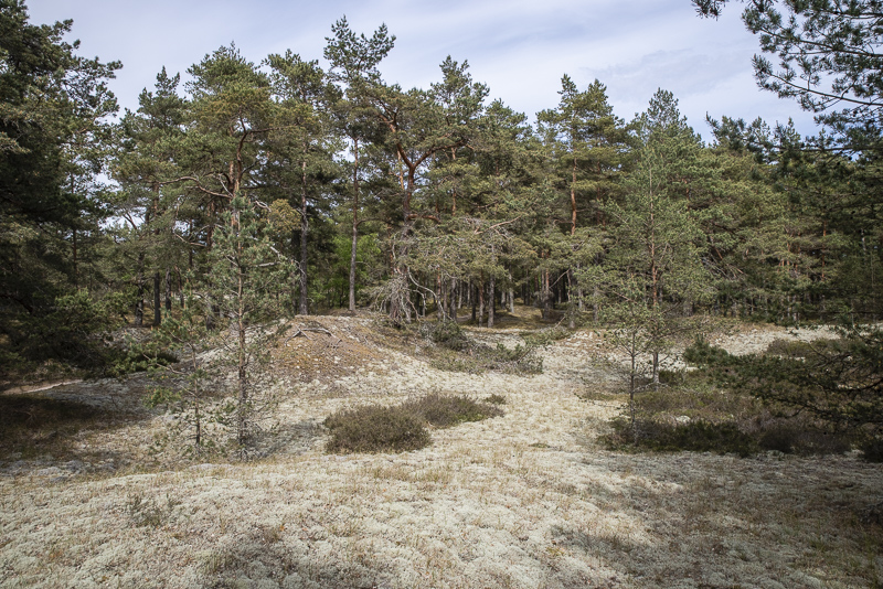 Södra Äspet