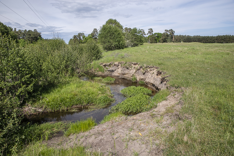 Vittskövle driva