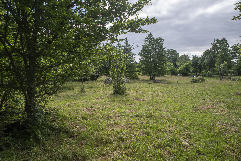 Ballingstorp