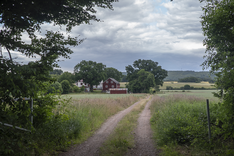 Bokenäset