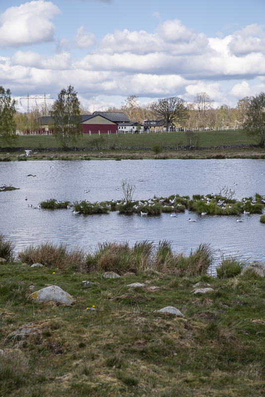 Hörby fälad