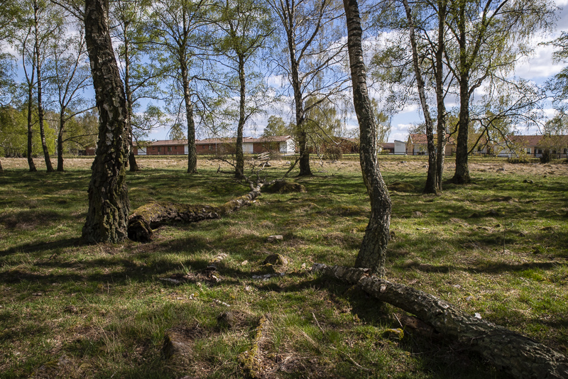 Hörby fälad