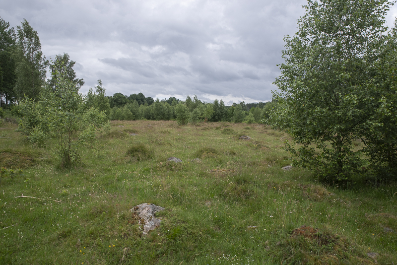 Mannagården
