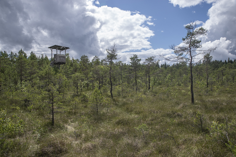 Stora Bökön