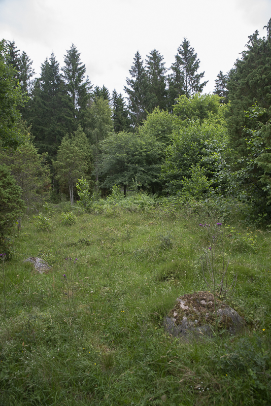 Tydinge betesmark