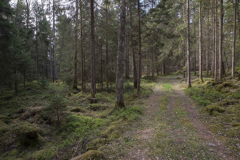 Örnanäs