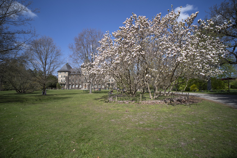 Alnarpsparken