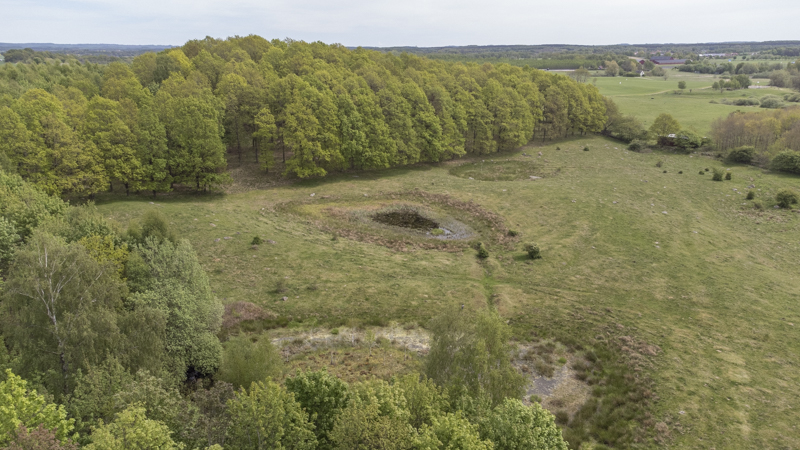 Västerskog
