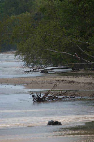 Rörums strand