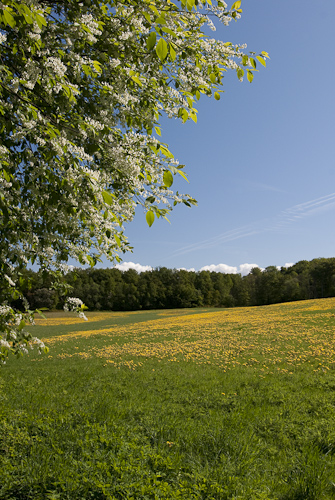 Axelstorp